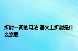 折射一词的用法 语文上折射是什么意思