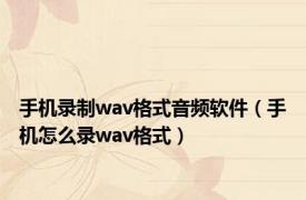 手机录制wav格式音频软件（手机怎么录wav格式）