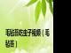 毛毡苔吃虫子视频（毛毡苔）