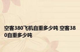 空客380飞机自重多少吨 空客380自重多少吨