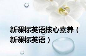 新课标英语核心素养（新课标英语）