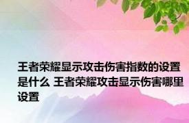 王者荣耀显示攻击伤害指数的设置是什么 王者荣耀攻击显示伤害哪里设置