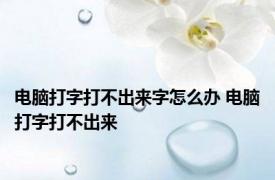 电脑打字打不出来字怎么办 电脑打字打不出来 