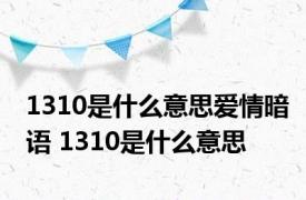 1310是什么意思爱情暗语 1310是什么意思