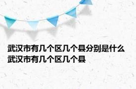 武汉市有几个区几个县分别是什么 武汉市有几个区几个县