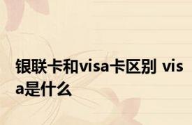 银联卡和visa卡区别 visa是什么