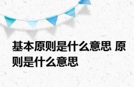 基本原则是什么意思 原则是什么意思