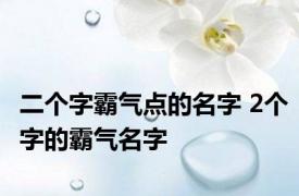 二个字霸气点的名字 2个字的霸气名字