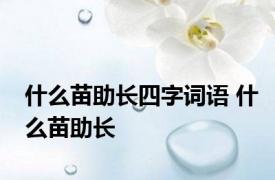 什么苗助长四字词语 什么苗助长