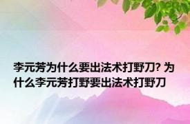 李元芳为什么要出法术打野刀? 为什么李元芳打野要出法术打野刀