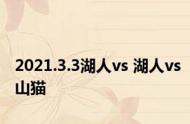 2021.3.3湖人vs 湖人vs山猫 