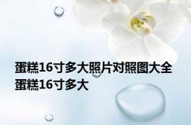 蛋糕16寸多大照片对照图大全 蛋糕16寸多大