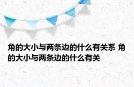 角的大小与两条边的什么有关系 角的大小与两条边的什么有关