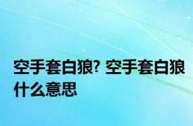 空手套白狼? 空手套白狼什么意思