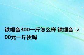 铁观音300一斤怎么样 铁观音1200元一斤贵吗