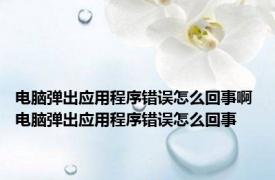 电脑弹出应用程序错误怎么回事啊 电脑弹出应用程序错误怎么回事