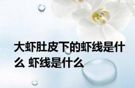 大虾肚皮下的虾线是什么 虾线是什么