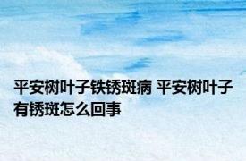 平安树叶子铁锈斑病 平安树叶子有锈斑怎么回事