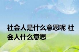 社会人是什么意思呢 社会人什么意思