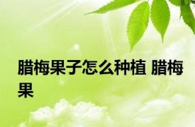 腊梅果子怎么种植 腊梅果 