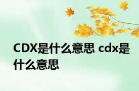 CDX是什么意思 cdx是什么意思