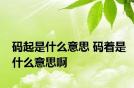 码起是什么意思 码着是什么意思啊