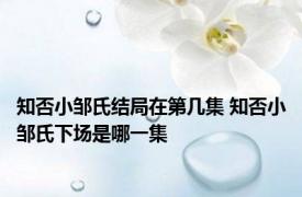 知否小邹氏结局在第几集 知否小邹氏下场是哪一集