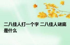 二八佳人打一个字 二八佳人谜底是什么