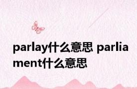 parlay什么意思 parliament什么意思