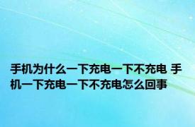 手机为什么一下充电一下不充电 手机一下充电一下不充电怎么回事