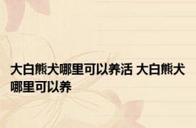 大白熊犬哪里可以养活 大白熊犬哪里可以养