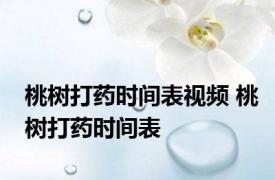 桃树打药时间表视频 桃树打药时间表