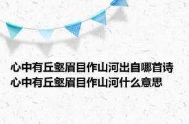 心中有丘壑眉目作山河出自哪首诗 心中有丘壑眉目作山河什么意思