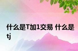 什么是T加1交易 什么是tj