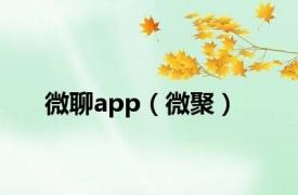 微聊app（微聚）