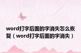 word打字后面的字消失怎么恢复（word打字后面的字消失）