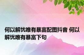 何以解忧唯有暴富配图抖音 何以解忧唯有暴富下句