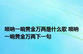 唢呐一响黄金万两是什么歌 唢呐一响黄金万两下一句