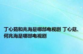 丁心茹和兆海是哪部电视剧 丁心菇、何兆海是哪部电视剧