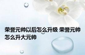 荣誉元帅以后怎么升级 荣誉元帅怎么升大元帅