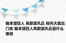 我本楚狂人 凤歌笑孔丘 仰天大笑出门去 我本楚狂人凤歌笑孔丘是什么意思