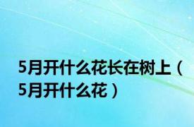 5月开什么花长在树上（5月开什么花）