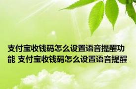 支付宝收钱码怎么设置语音提醒功能 支付宝收钱码怎么设置语音提醒