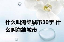 什么叫海绵城市30字 什么叫海绵城市