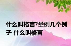 什么叫格言?举例几个例子 什么叫格言