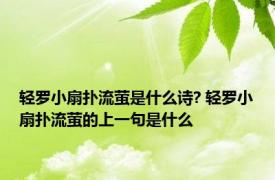 轻罗小扇扑流萤是什么诗? 轻罗小扇扑流萤的上一句是什么