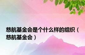 慈航基金会是个什么样的组织（慈航基金会）