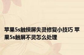 苹果5s触摸屏失灵修复小技巧 苹果5s触屏不灵怎么处理