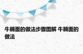 牛腩面的做法步骤图解 牛腩面的做法 