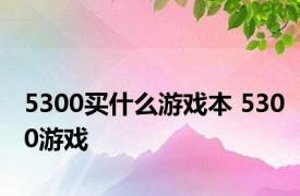 5300买什么游戏本 5300游戏 